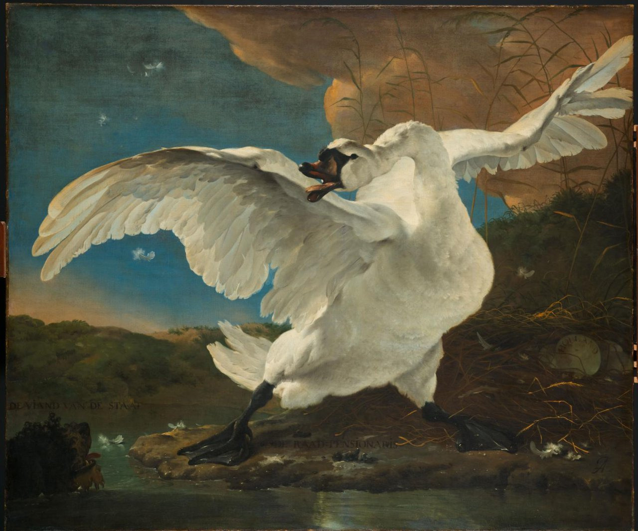 The Threatened Swan by Jan Asselijn