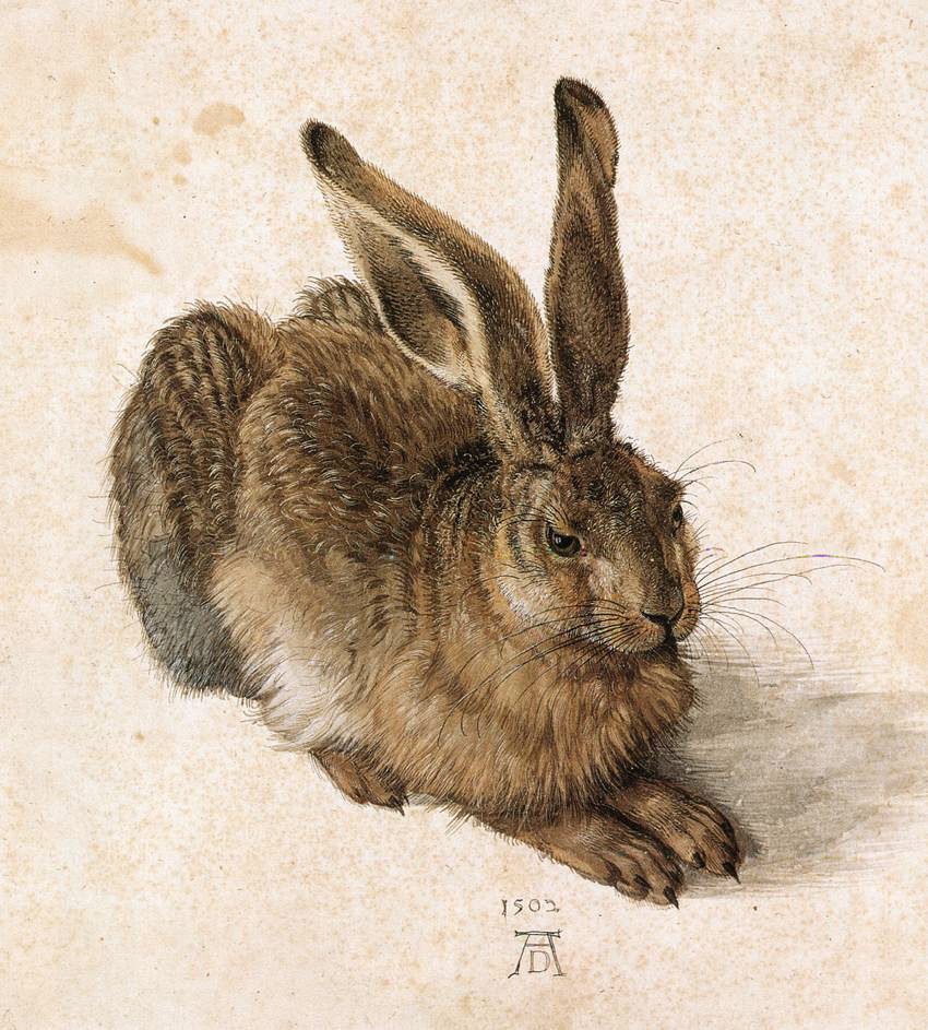 A brown hare with upright ears sits against a pale background, its fur rendered in fine strokes.