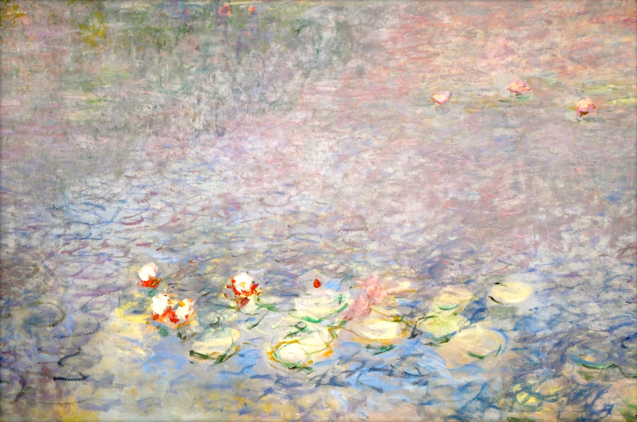 Pink and white water lilies in a detail of Monet’s painting at Musée de l’Orangerie