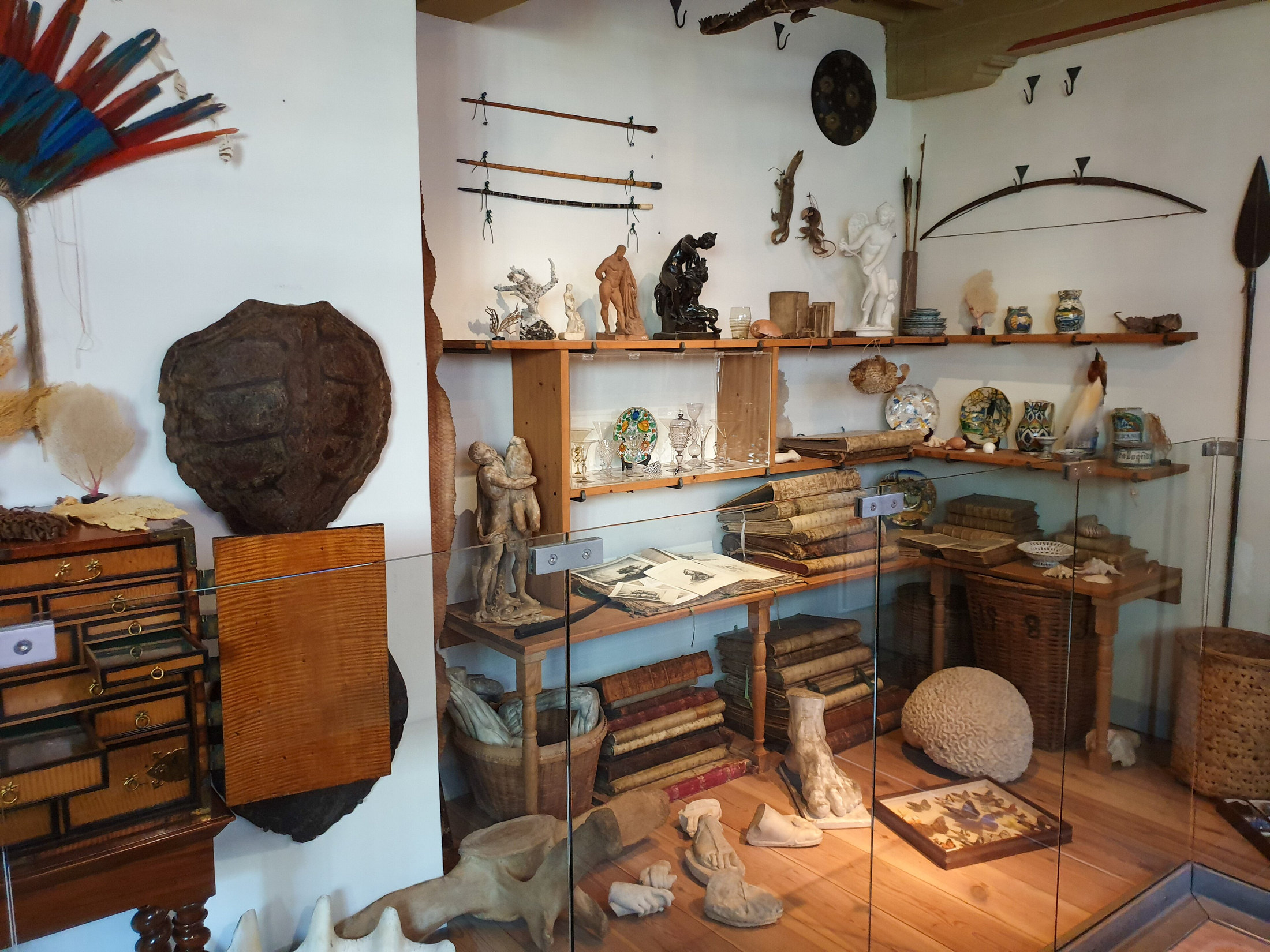 Cabinets, shells and natural-history specimens in Rembrandt House Museum’s reconstructed collection room